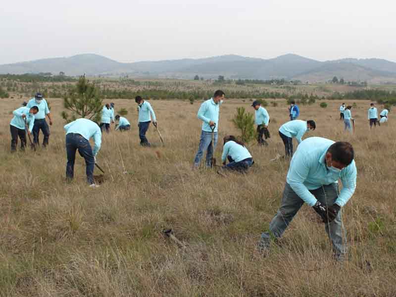 Berry employees working with community partners to plant 500 trees
