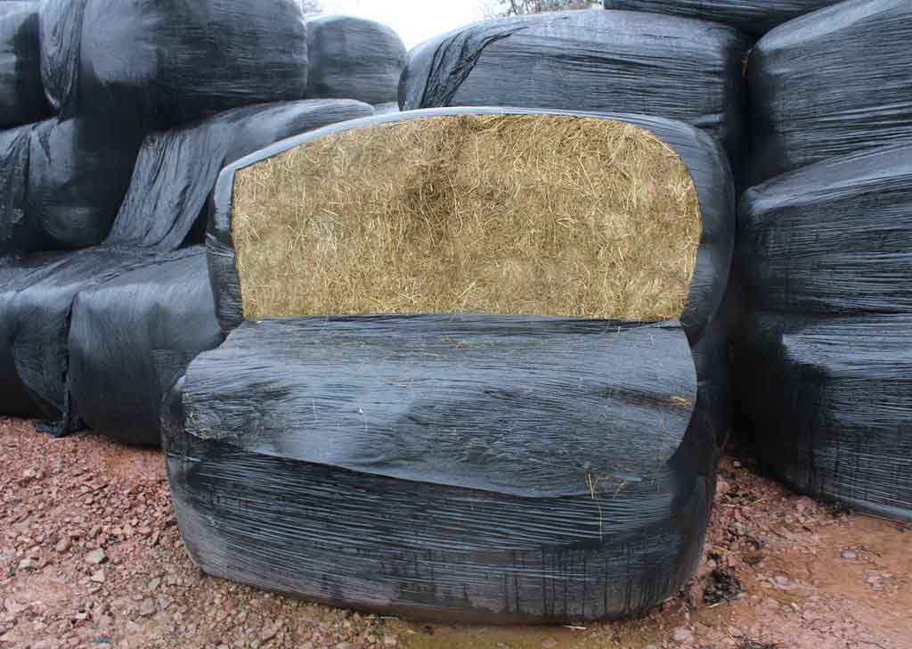Hay bale plastic wrap for silage, Silotite, a Berry Global product